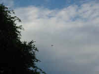 101-0159_IMG.JPG (55007 bytes)